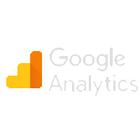 googleAnalytics